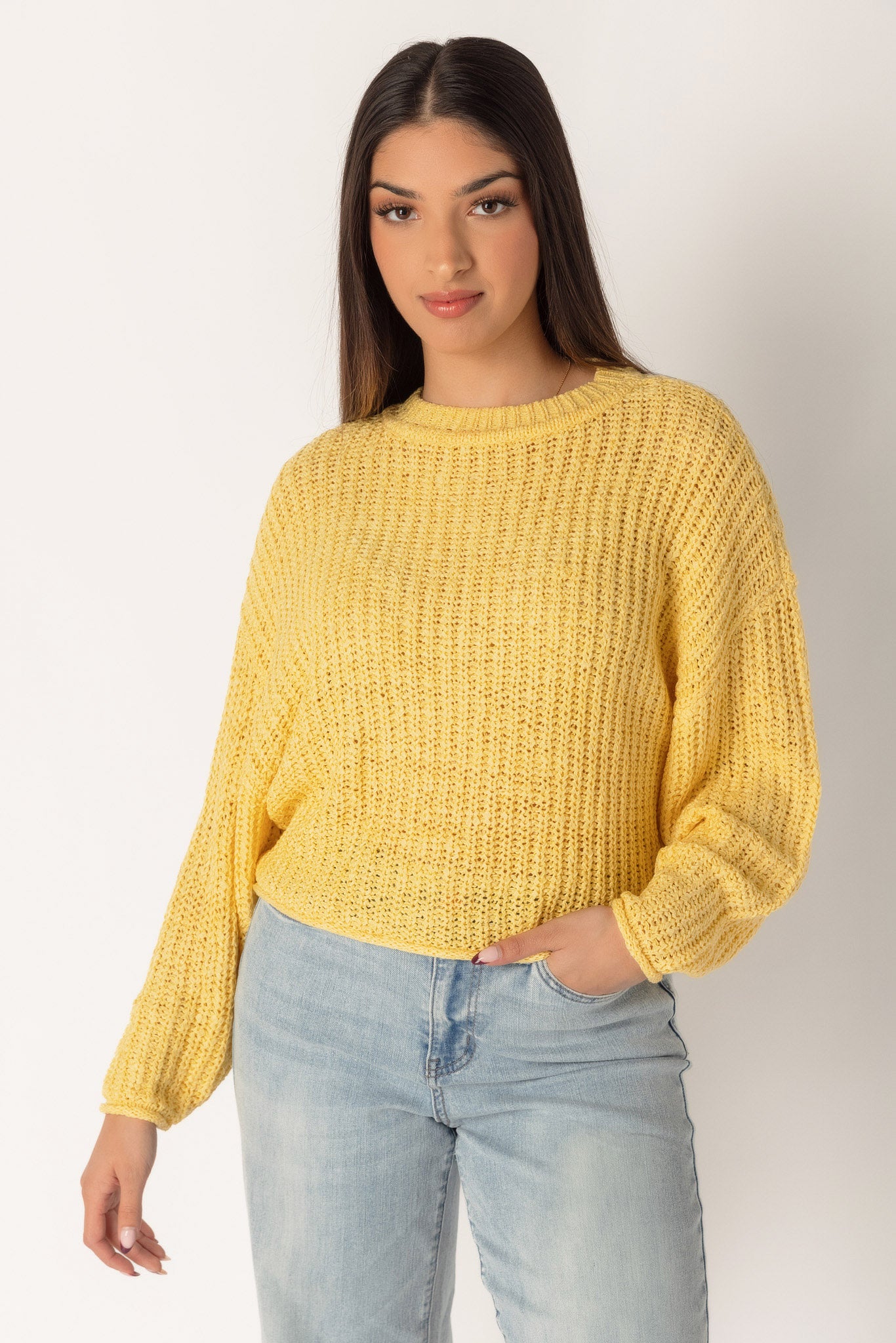 Shaker Knit Long Sleeve Crop Sweater