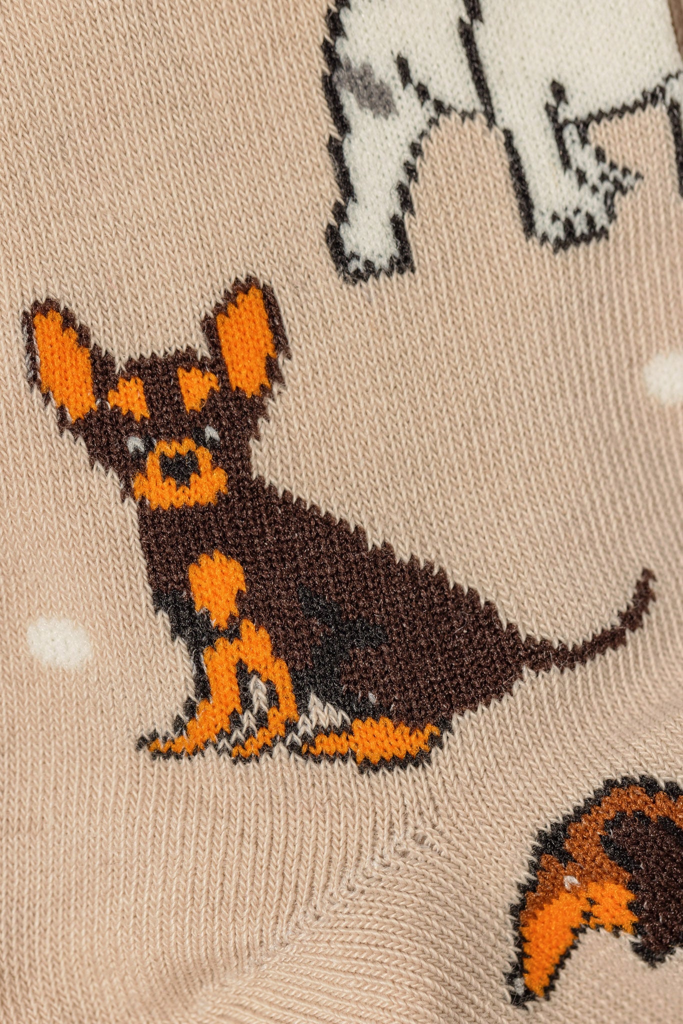 Multi Dog Socks