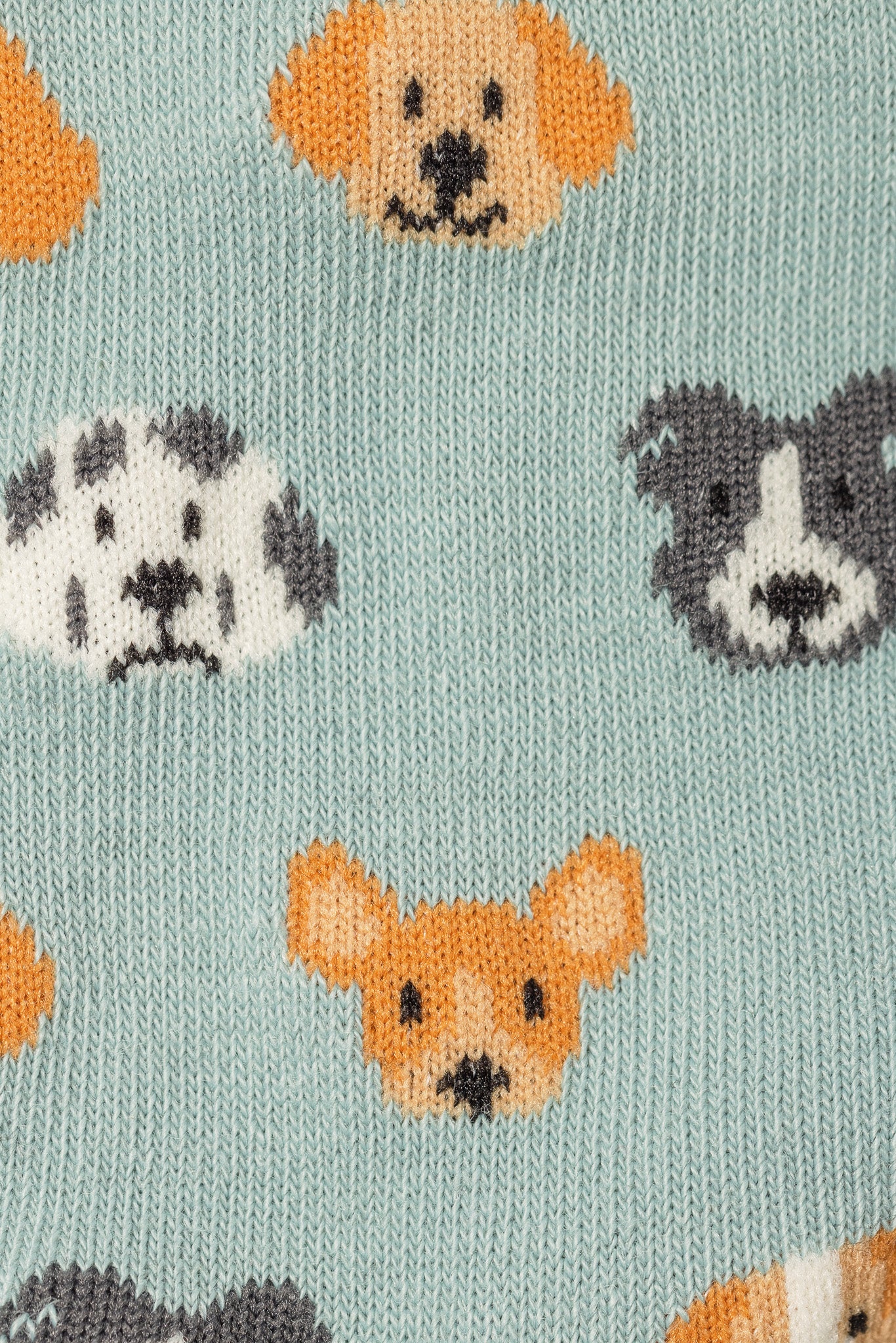Dog Socks