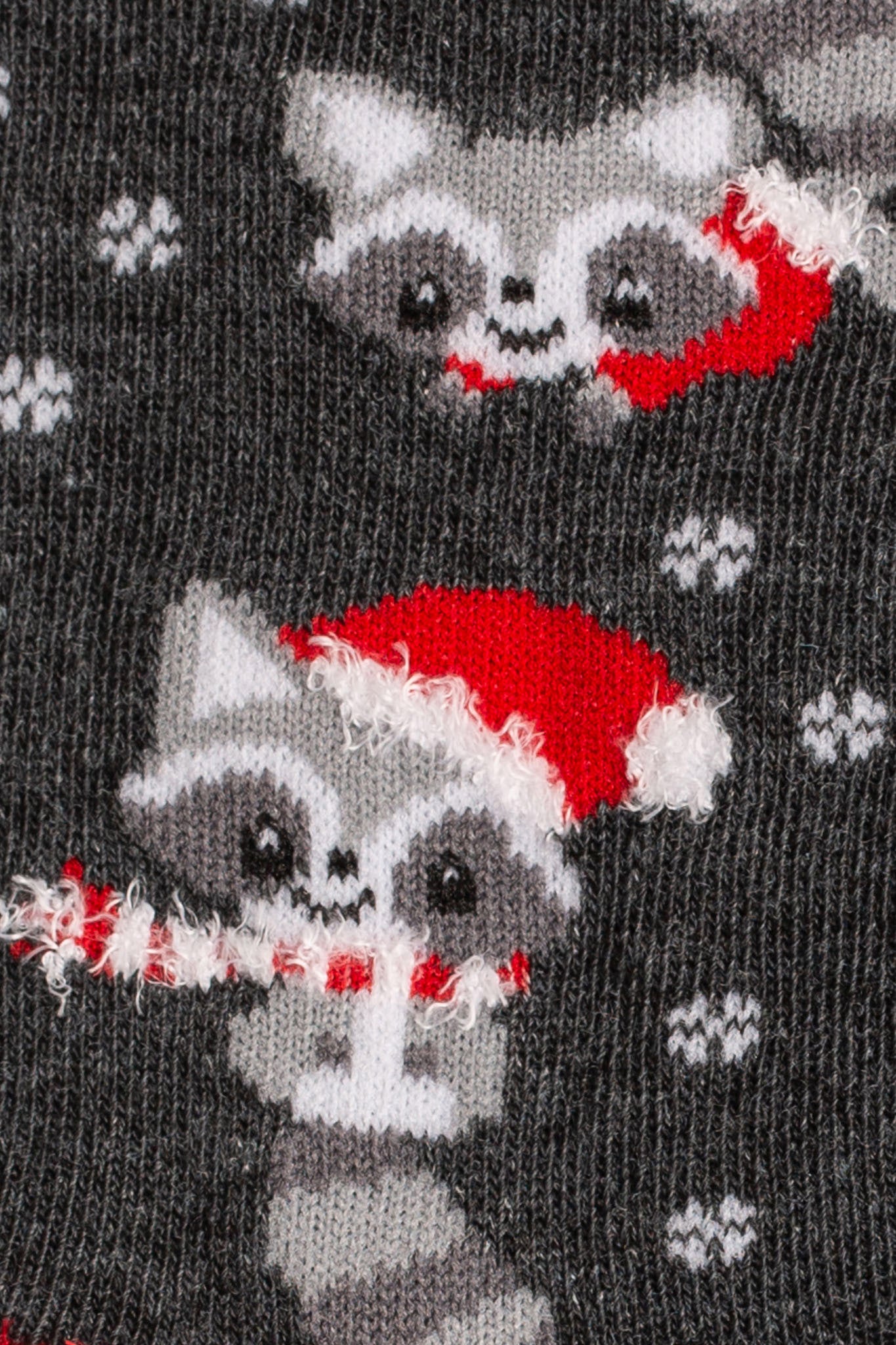 Raccoon Holiday Socks