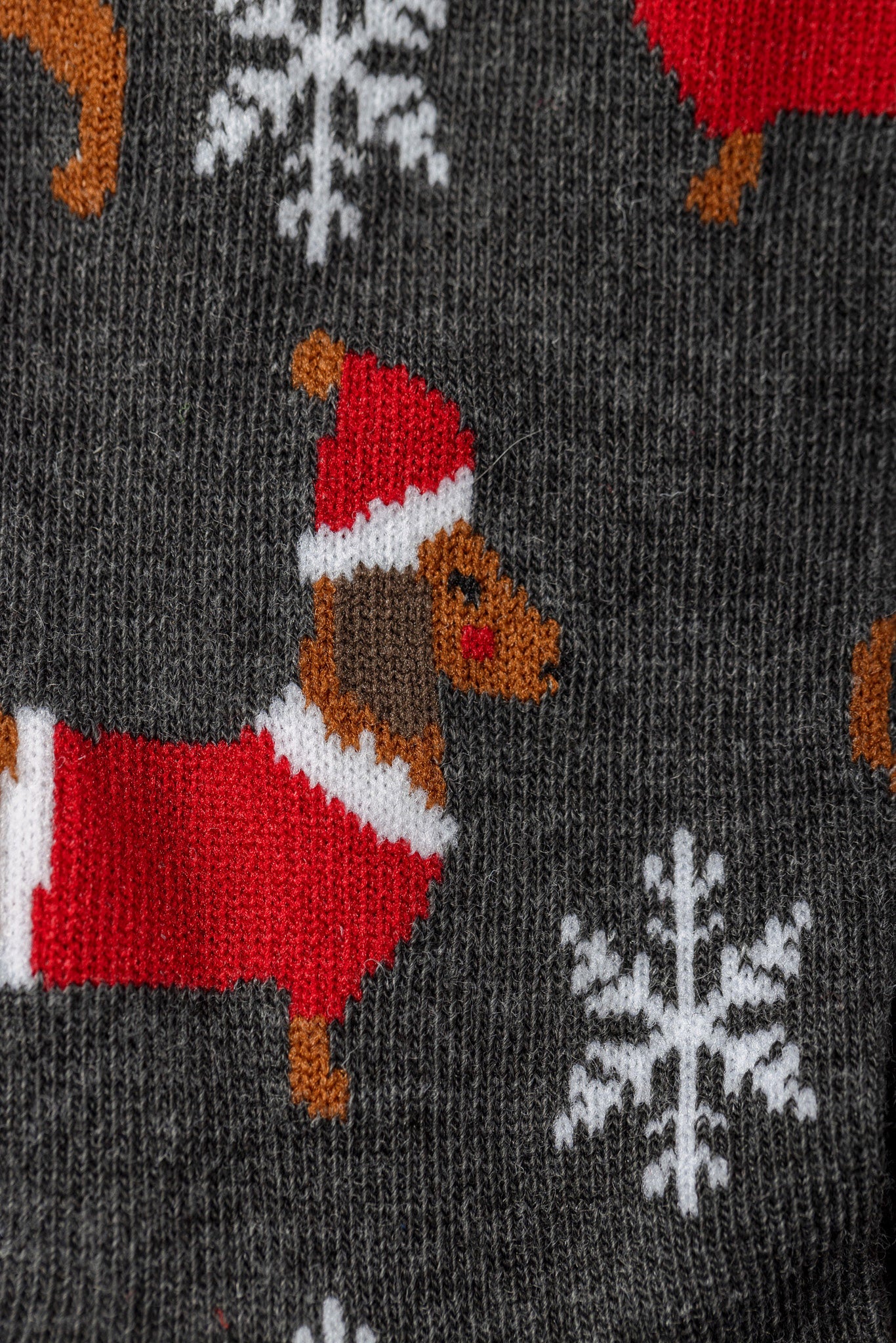 Chaussettes teckels des Fêtes