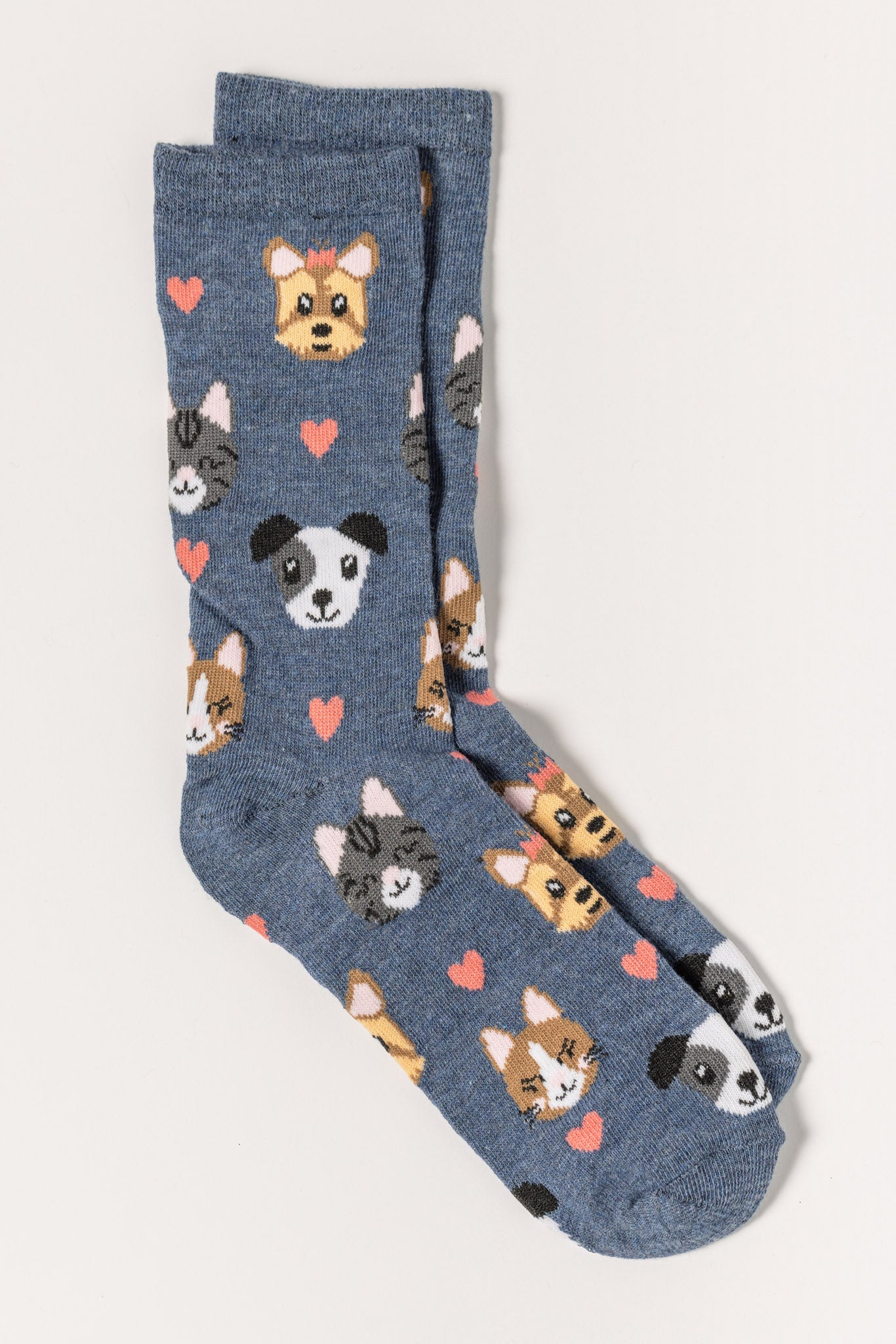 Chaussettes chiens et chats