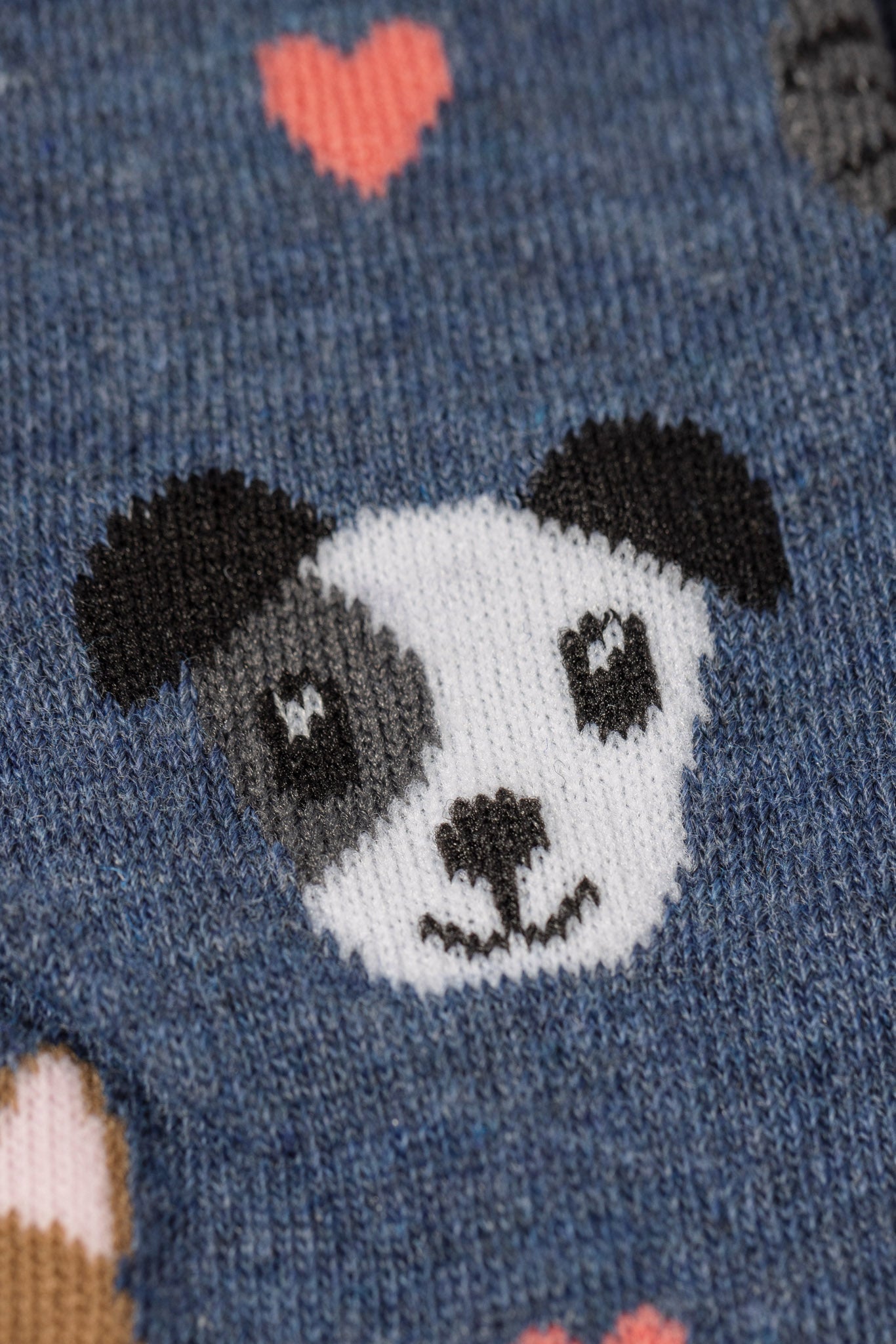 Chaussettes chiens et chats