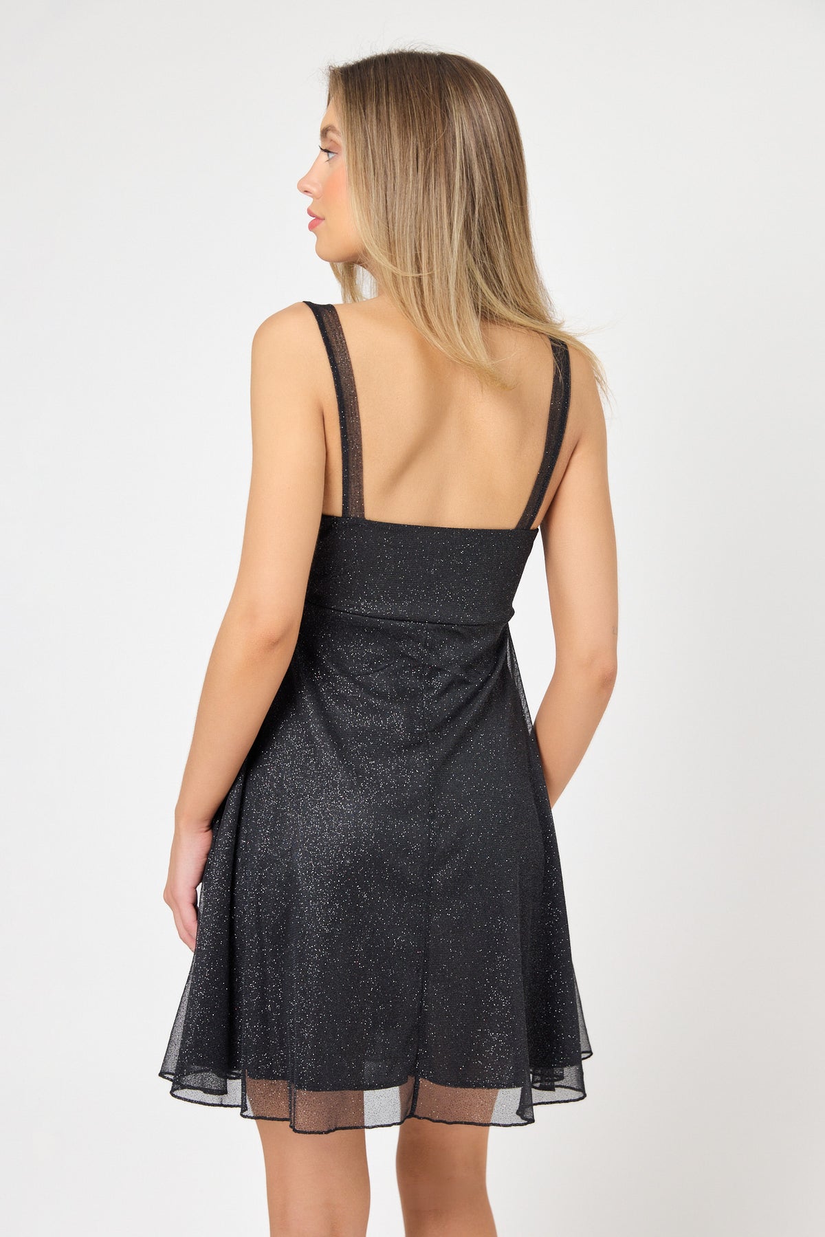 Glitter Mesh Skater Dress