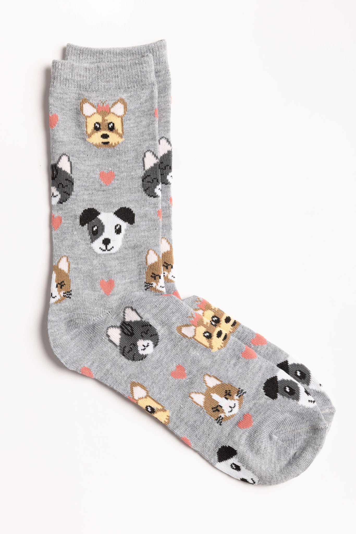 Chaussettes chiens et chats