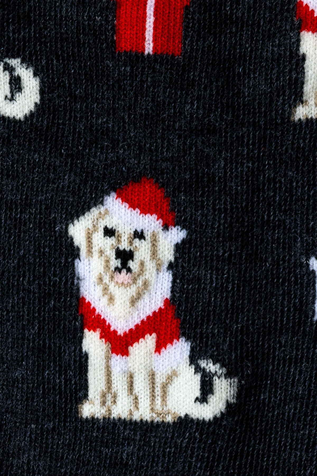 Holiday Retriever Socks
