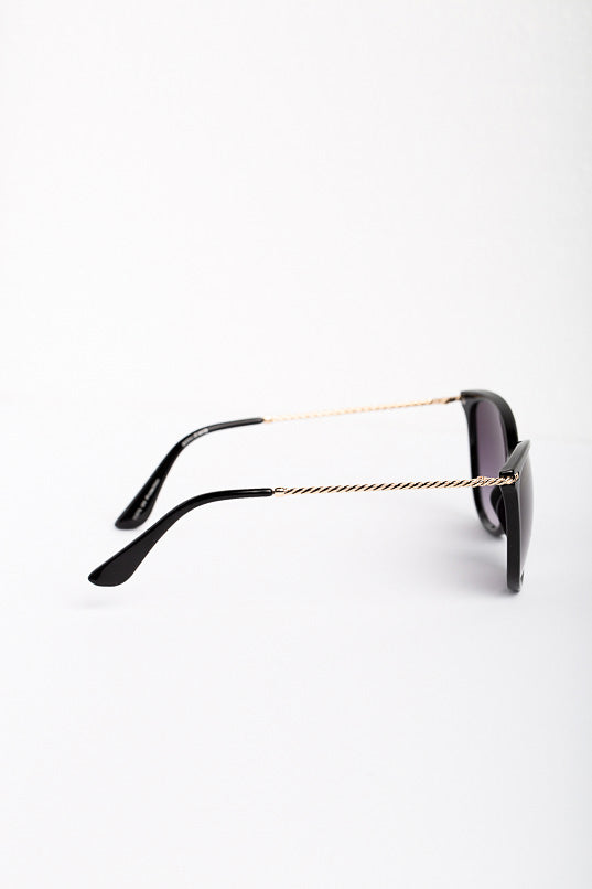 Pantos Sunglasses with Twisted Metal Arms